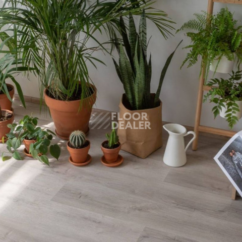 Vinilam Click 3.7мм 20468 Дуб Ален фото 4 | FLOORDEALER